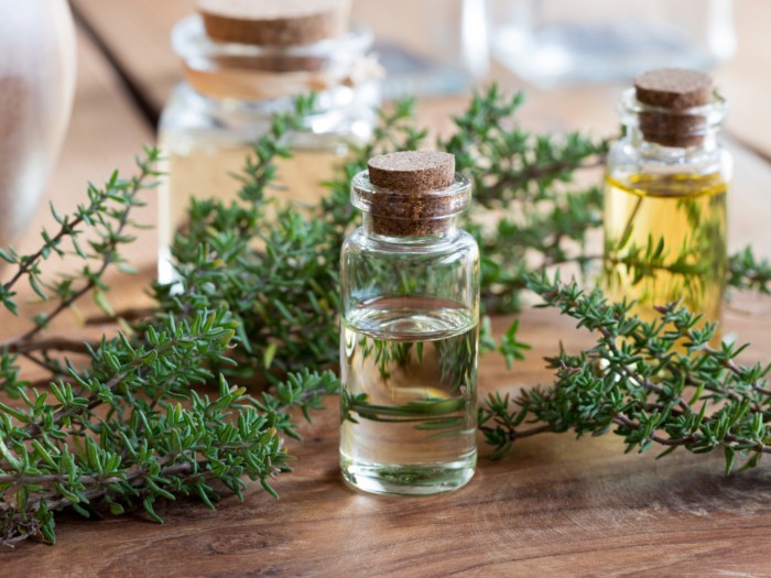 thyme essential oil