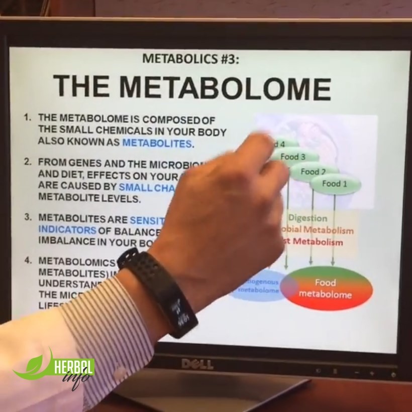 метаболом