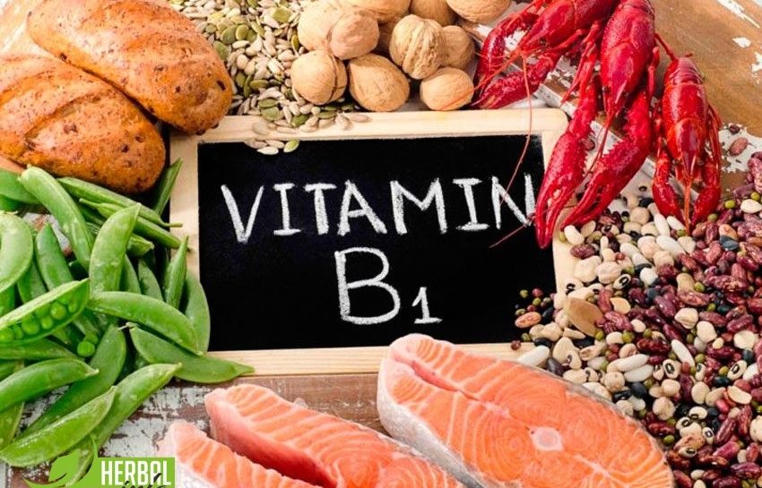 Витамин B1 тиамин в Гербалайф продуктах